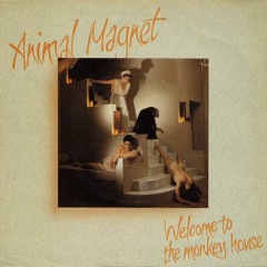 Animal Magnet - Welcome To The Monkey House