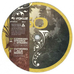 Dynamic & Command Strange - Lost in You - [FOKUZ-50 12' Vinyl]