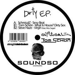 Tom Schön - What is House...Dirty Sex [Soundso Rec. 001] SNIPPET