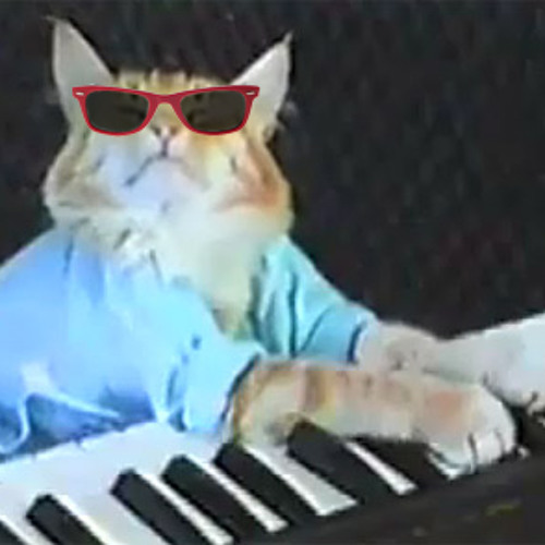Keyboard Cat (TECHNO REMIX)!