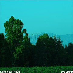 1 - Rainy Vegetation - Album RAINY VEGETATION