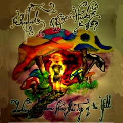 Nuutti is Travelling All Over a Field of Poisonous Mushrooms