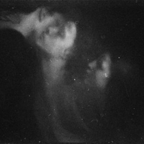 Still Life Portrait