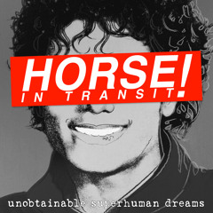 Horse in Transit-8 Years Old (Ghost Loops Remix)