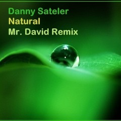 Danny Sateler - Natural (Mr. David Remix)