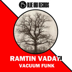 Ramtin Vadati  Vacuum-Funk (Original Mix)  Blue Orb Records (Free Download)