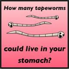 Tapeworm