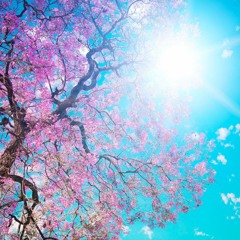 Tanz in den Frühling