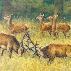 Brodka - Granda (chopped & screwed by CH-CH-CHING)