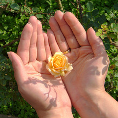 At the Cross(Arabic)