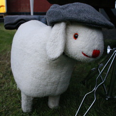 The Pokes   Dinosaur