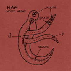 Hag: "Moist Areas"