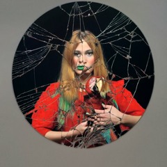 The cat from smelling island_Marina Dellamore and Reecard Farché