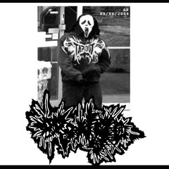 Drongo - Straight Down the Gurgler