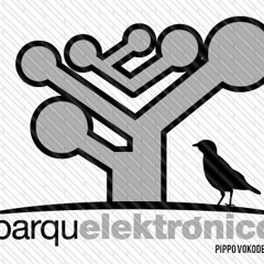 PIPPO VOKODEK @Parque Elektronico ( LA MEGA 95.7 FM , Valencia ) mayo 2009