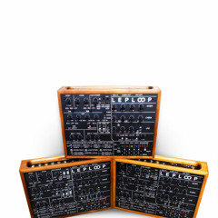 LEPLOOP DREAMS