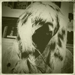 Lionel Marchetti - Madame Morte / Extrait N°3