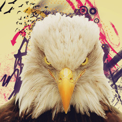 MoroccanEagle - No one Stop Me (With Hook)