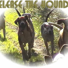 Barron - Release The Hounds [Free Download Hit Buy Link!]