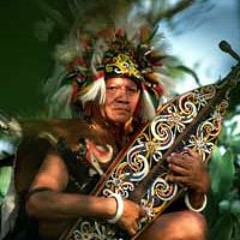 Sape music traditional Dayak tribe