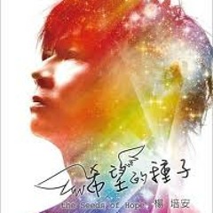 Yang Pei An - Ai Shang Ni Shi Yi Ge Cuo