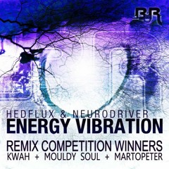Hedflux & Neurodriver - Energy Vibration (MartOpetEr Remix) [Broken Robot Remix Comp Winner !!!]