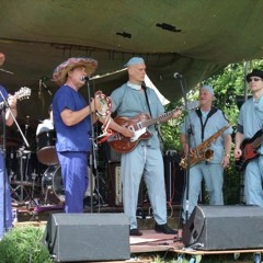 'Mule Skinner Blues' (The Buc Buc Bucket Band)