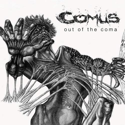 Out Of The Coma by Comus