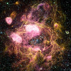 Bad Bitches Instrumental Remix