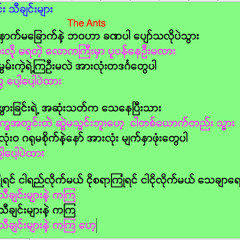 မစဉ်းစားခြင်း သီချင်းများ