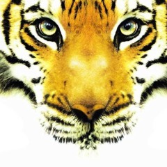 Joker mix_Party Animals_PeopleMovin Podcast