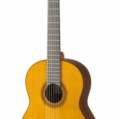 Matteo Carcassi Etude No. 1