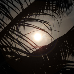 Soul Motion / live Bamboo Beach 04/08/2012