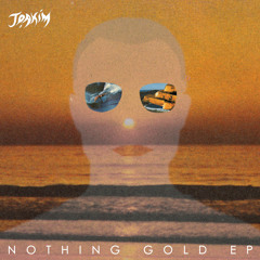 JOAKIM - Nothing Gold (Todd Terje mix)