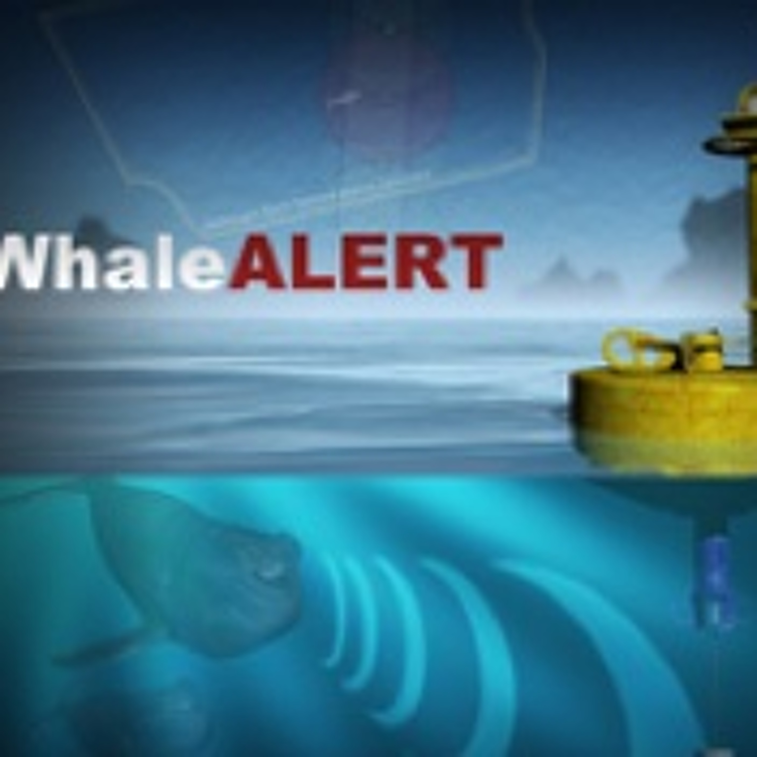 Whale Alert: A New Smart App to Save Endangered Whales episode artwork