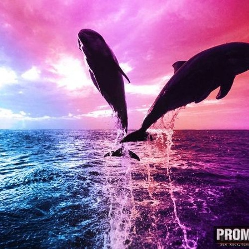 Stream Astrix - Adventure mode & Yahel - Xport ( EP mix ) ( Dj 