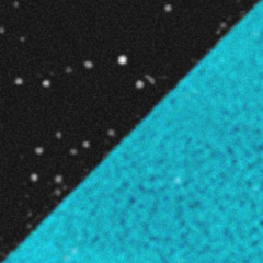 Jackie Paper - Mic Tap (Sketch)