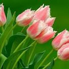 Yiruma - Love Hurts
