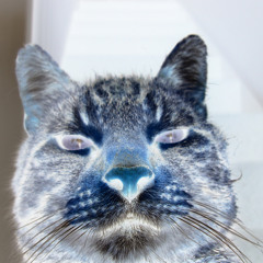 There's A Light... (Gang Warily's No Light Remix)