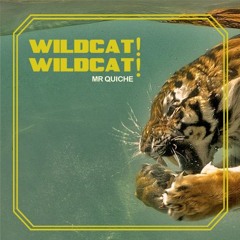WILDCAT! WILDCAT! - MR QUICHE - RICH COOPER VERSION