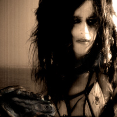 Transblister, live demo version