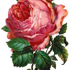 Meaningful is more momentary (feat Roxanne)