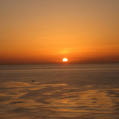 Come Winter (Morning Selections)