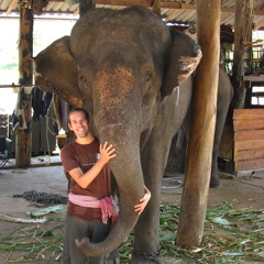 Elephant Roar, Pai, Thailand