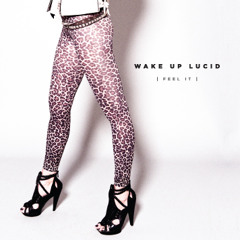 Wake Up Lucid - Just Can't Ignore