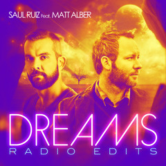 Matt Alber -  End of the World (Morgan Page Pop Mix Radio Edit)