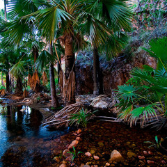 Dj Dialog Ft. Sherry St.Germain - Kick Out The Lights (Garden Of Eden Remix)