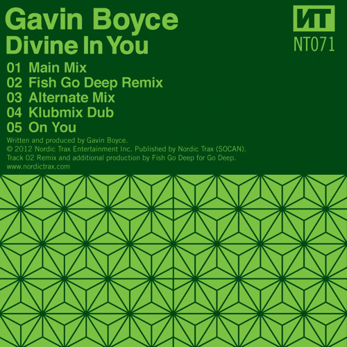 NT071 02 GAVIN BOYCE Divine In You - Fish Go Deep Remix [PREVIEW CLIP]