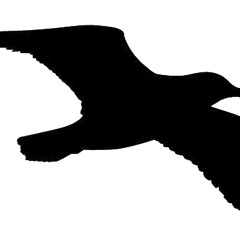 Free As A Bird [Celeste; Rainman Shirriffs] [Prod. Rainman Shirriffs]