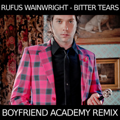Rufus Wainwright - Bitter Tears (BFA Remix)